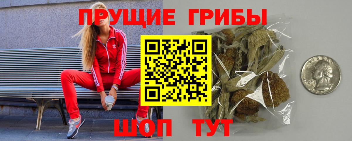 Псилоцибиновые грибы мицелий  где можно купить   Полевской  Галлюциногенные грибы Psilocybe  Вход с VPN 