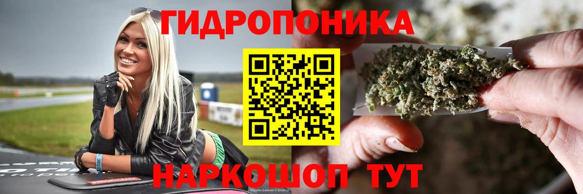 Канабис конопля Полевской